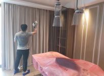 家中養(yǎng)綠蘿能凈化空氣嗎