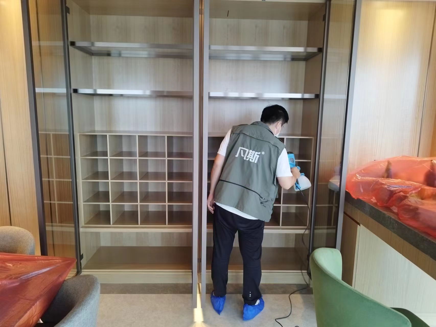 家里綠植的選購技巧，凈化室內(nèi)空氣