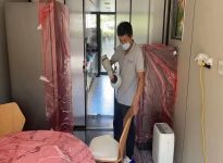 甲醛的危害及清除方法？